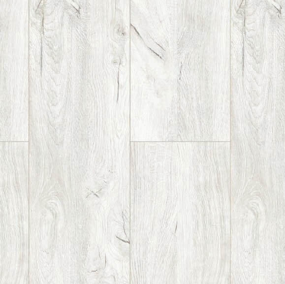 Enigma Charlotte Oak